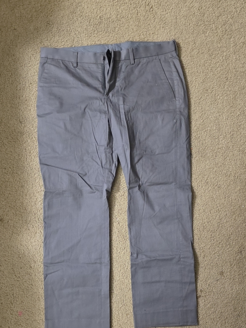 Express Photographer Gray Dress Pants